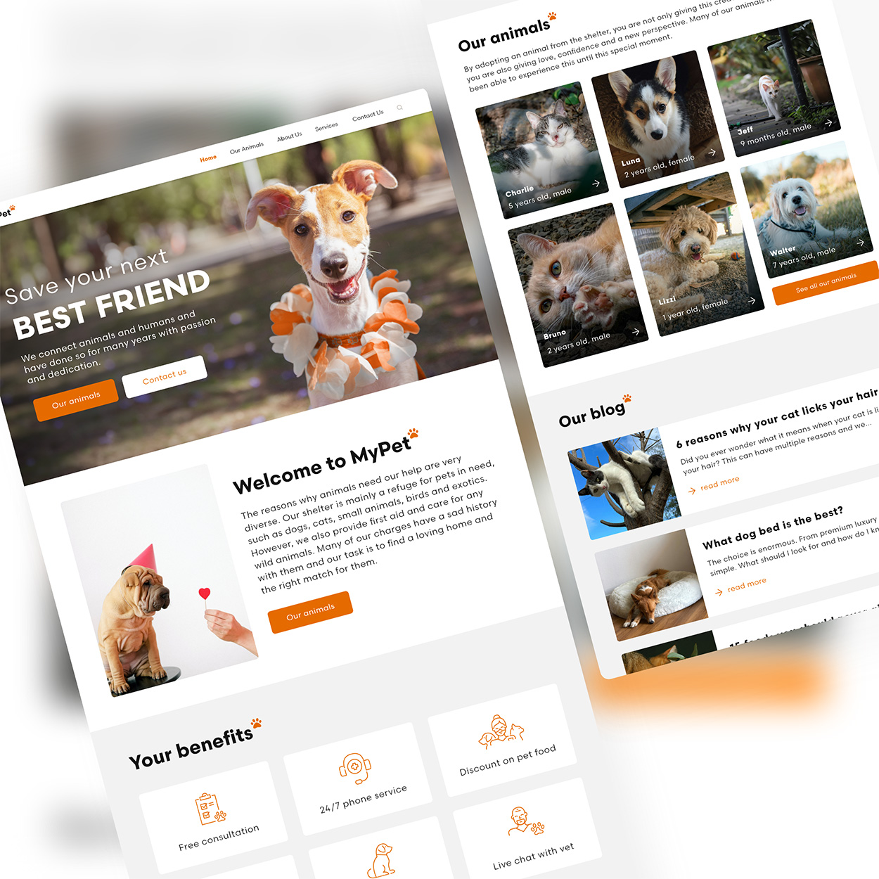 portfolio_animalshelter